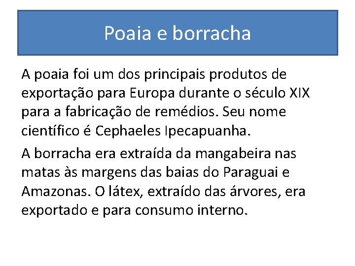 Poaia e borracha A poaia foi um dos principais produtos de exportação para Europa