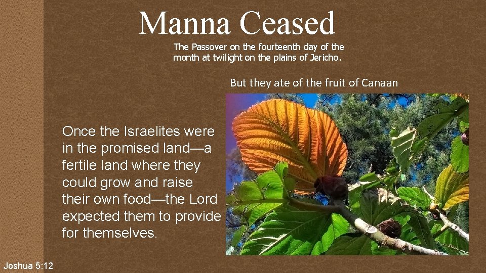 Manna Ceased The Passover on the fourteenth day of the month at twilight on Manna Ceased The Passover on the fourteenth day of the month at twilight on