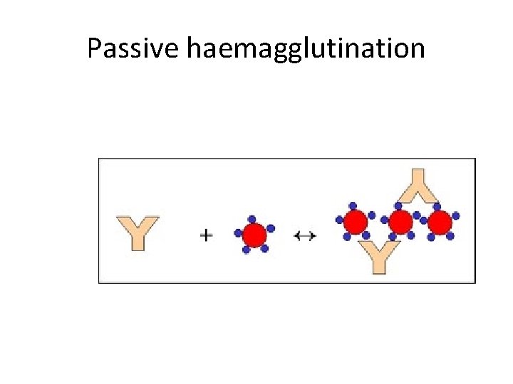 Passive haemagglutination 