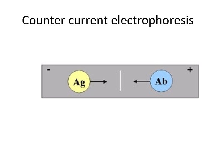 Counter current electrophoresis 