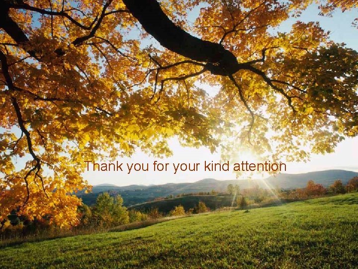 Thank you for your kind attention 