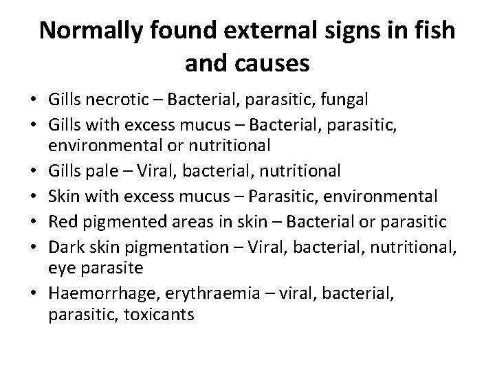 Normally found external signs in fish and causes • Gills necrotic – Bacterial, parasitic,