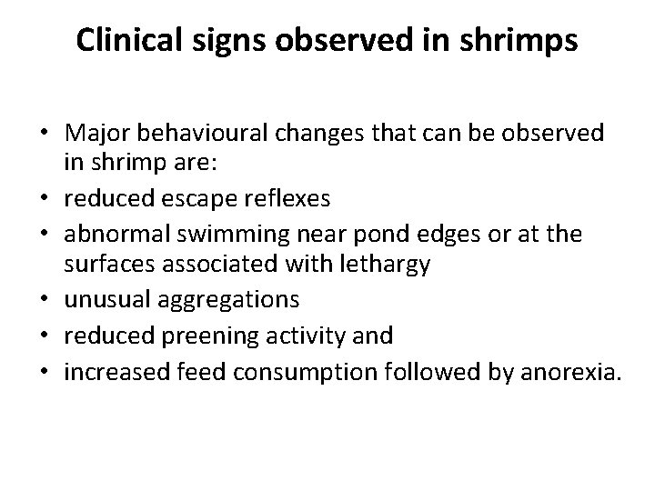 Clinical signs observed in shrimps • Major behavioural changes that can be observed in