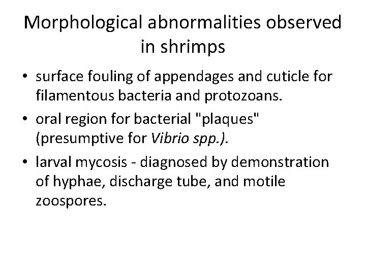  Morphological abnormalities observed in shrimps • surface fouling of appendages and cuticle for