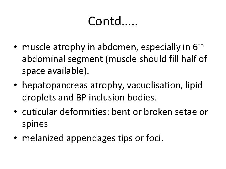 Contd…. . • muscle atrophy in abdomen, especially in 6 th abdominal segment (muscle