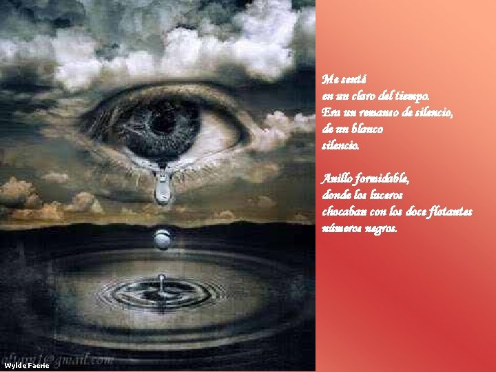 Me senté en un claro del tiempo. Era un remanso de silencio, de un