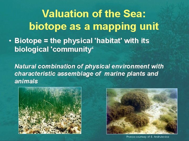 Valuation of the Sea: biotope as a mapping unit • Biotope = the physical