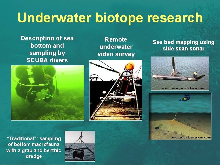 Underwater biotope research Description of sea bottom and sampling by SCUBA divers Remote underwater