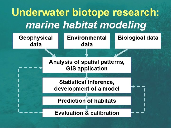 Underwater biotope research: marine habitat modeling Geophysical data Environmental data Biological data Analysis of