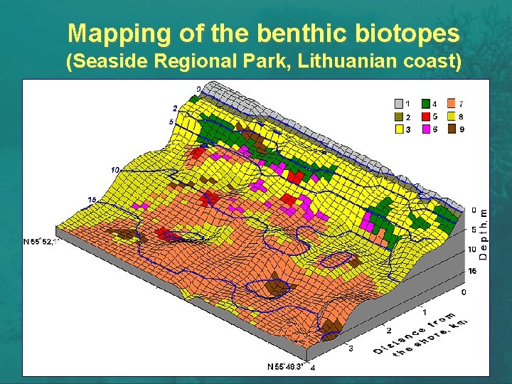 Mapping of the benthic biotopes (Seaside Regional Park, Lithuanian coast) 