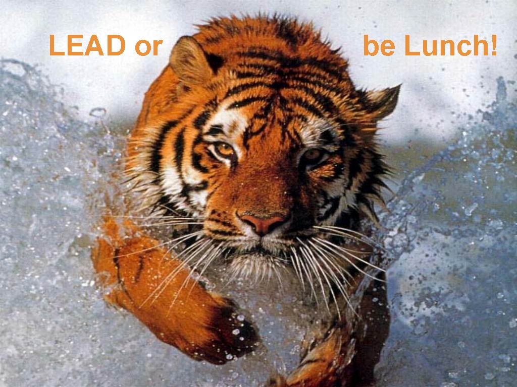 LEAD or Lead or be lunch! be Lunch! 