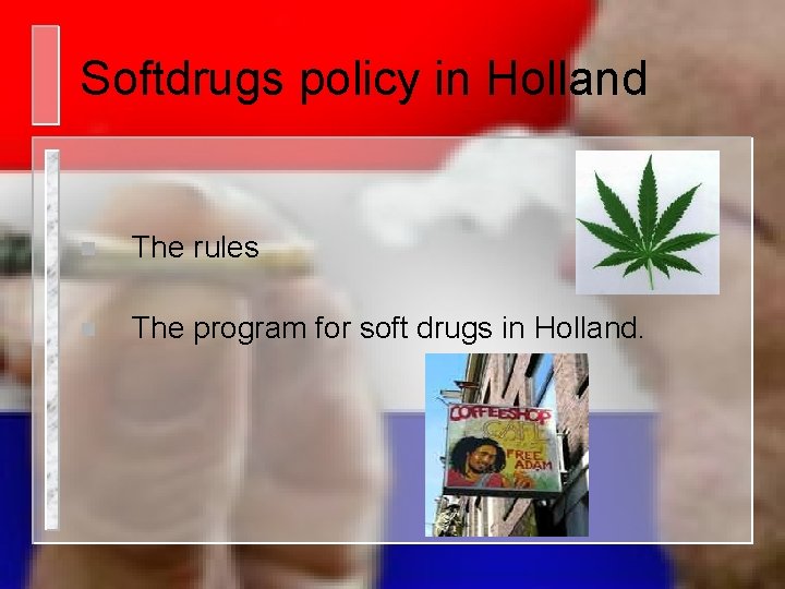 Softdrugs policy in Holland n The rules n The program for soft drugs in