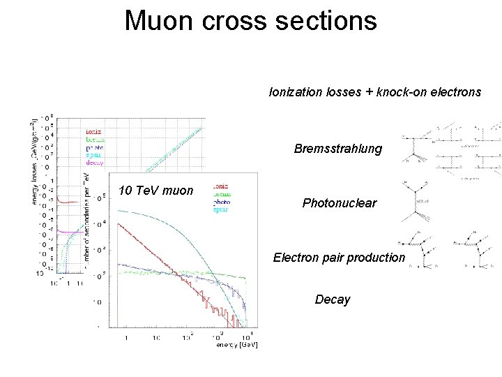 Muon cross sections Ionization losses + knock-on electrons Bremsstrahlung 10 Te. V muon Photonuclear Muon cross sections Ionization losses + knock-on electrons Bremsstrahlung 10 Te. V muon Photonuclear