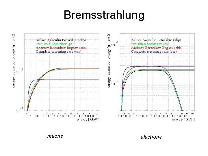 Bremsstrahlung muons electrons Bremsstrahlung muons electrons