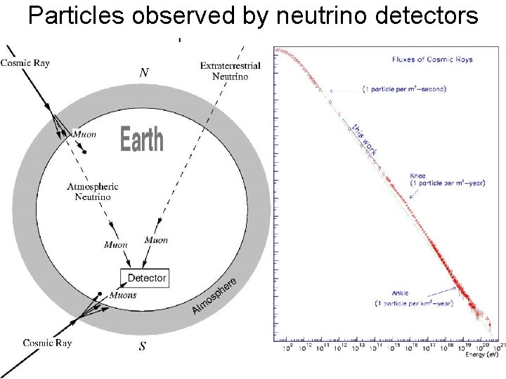 Particles observed by neutrino detectors Particles observed by neutrino detectors