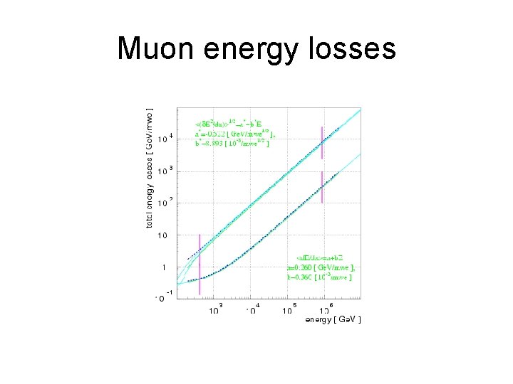 Muon energy losses Muon energy losses