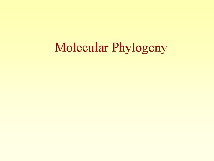Molecular Phylogeny 