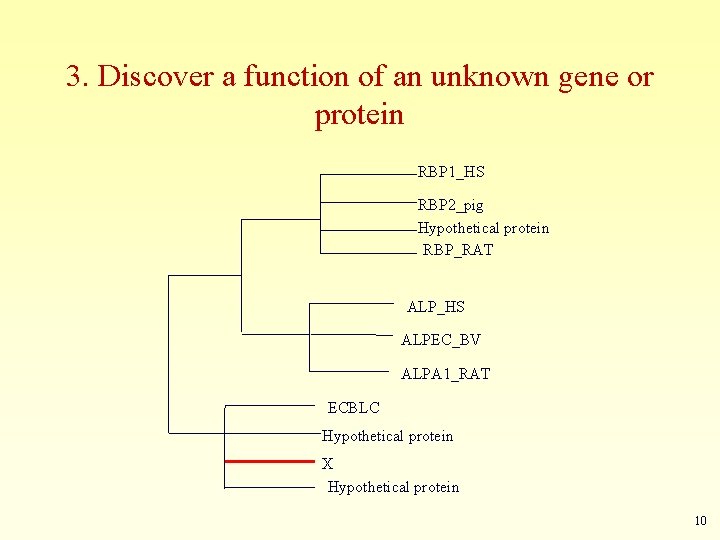 3. Discover a function of an unknown gene or protein RBP 1_HS RBP 2_pig