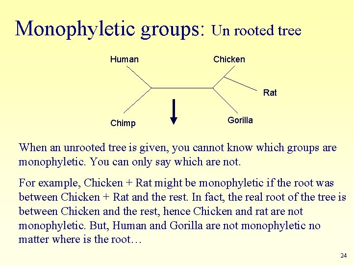 Monophyletic groups: Un rooted tree Human Chicken Rat Chimp Gorilla When an unrooted tree