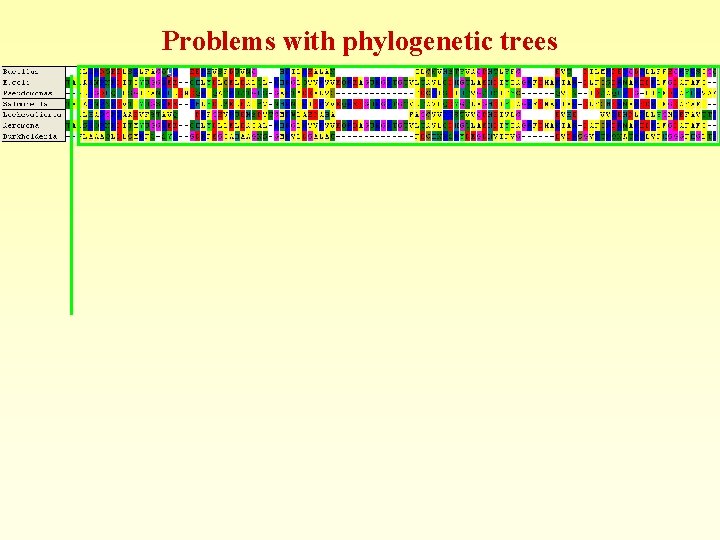 Problems with phylogenetic trees 