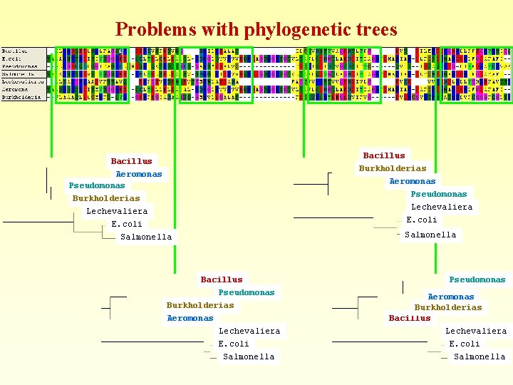 Problems with phylogenetic trees Bacillus Aeromonas Pseudomonas Burkholderias Lechevaliera E. coli Salmonella Bacillus Pseudomonas