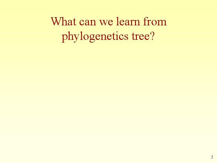 What can we learn from phylogenetics tree? 5 