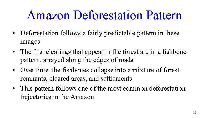 Amazon Deforestation Pattern • Deforestation follows a fairly predictable pattern in these images •