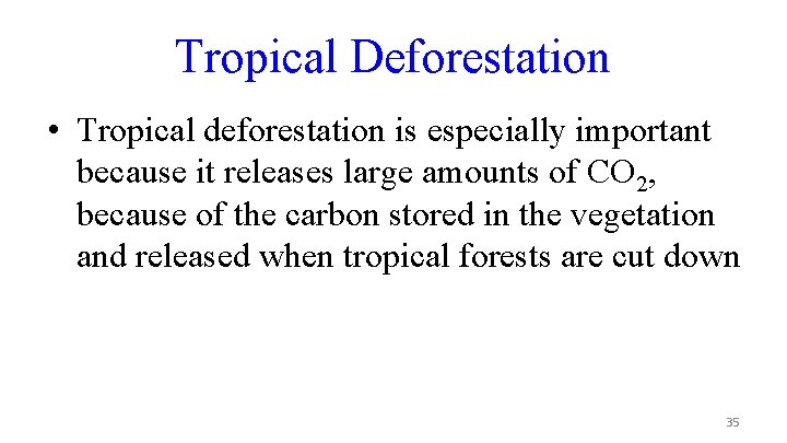 Tropical Deforestation • Tropical deforestation is especially important because it releases large amounts of