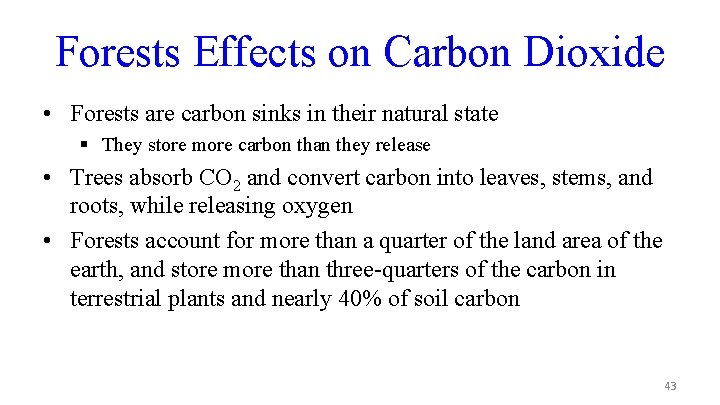 Forests Effects on Carbon Dioxide • Forests are carbon sinks in their natural state