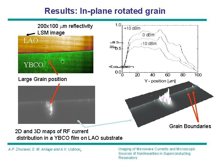 Results: In-plane rotated grain 200 x 100 mm reflectivity LSM image +10 d. Bm Results: In-plane rotated grain 200 x 100 mm reflectivity LSM image +10 d. Bm