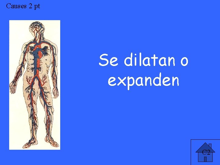 Causes 2 pt Se dilatan o expanden C 2 