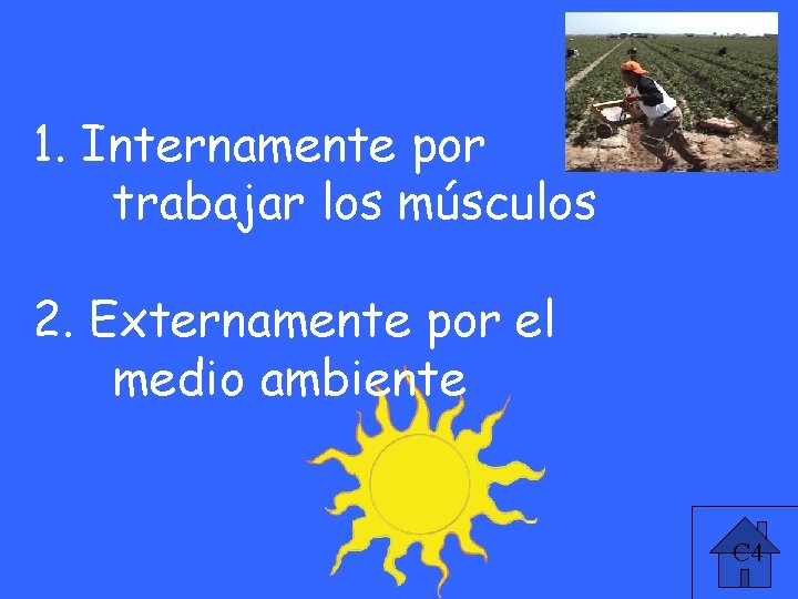 Causes 4 pt 1. Internamente por trabajar los músculos 2. Externamente por el medio