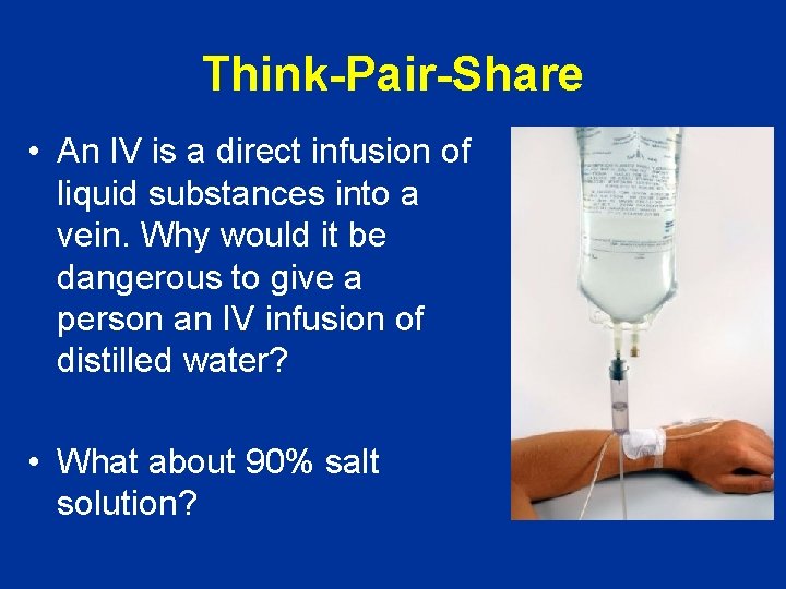 Think-Pair-Share • An IV is a direct infusion of liquid substances into a vein.