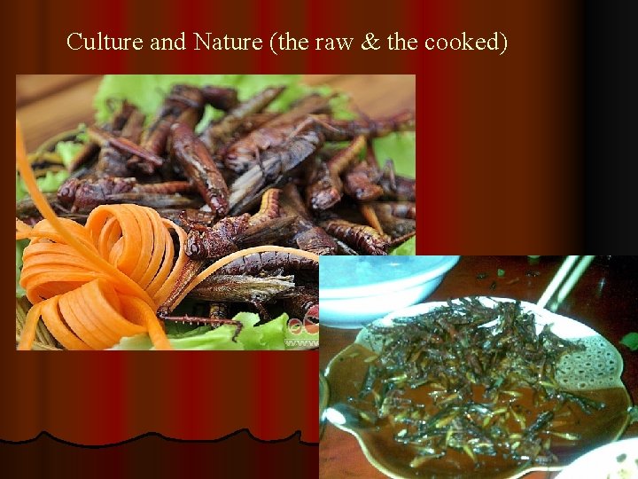 Culture and Nature (the raw & the cooked) 