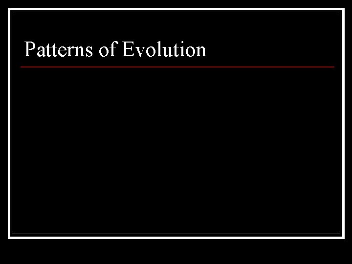 Patterns of Evolution 