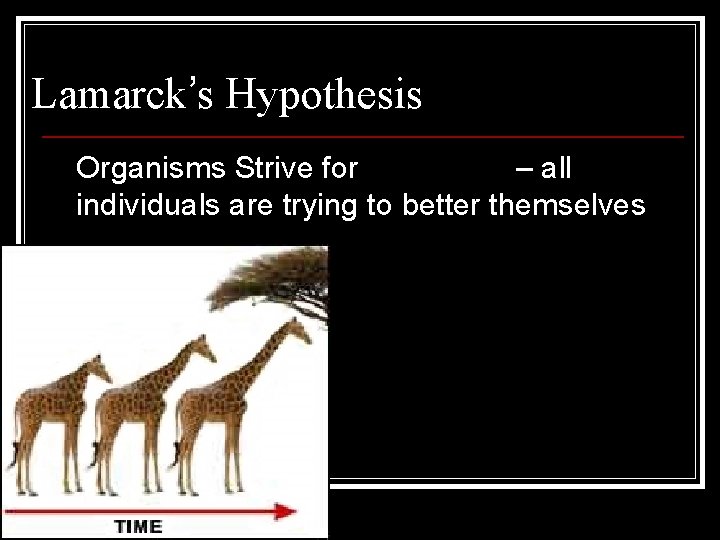 Lamarck’s Hypothesis Organisms Strive for Perfection – all individuals are trying to better themselves