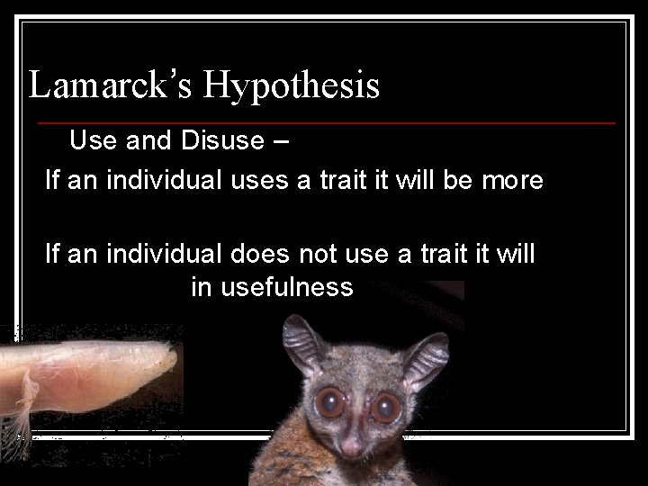 Lamarck’s Hypothesis Use and Disuse – If an individual uses a trait it will