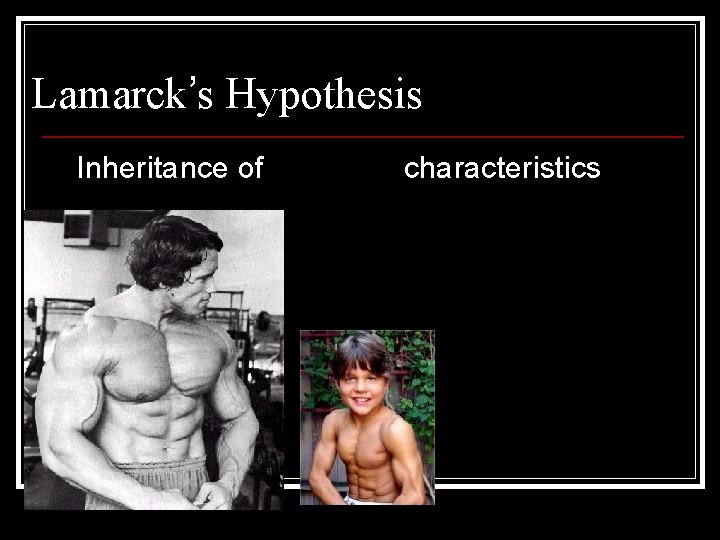 Lamarck’s Hypothesis Inheritance of Acquired characteristics 