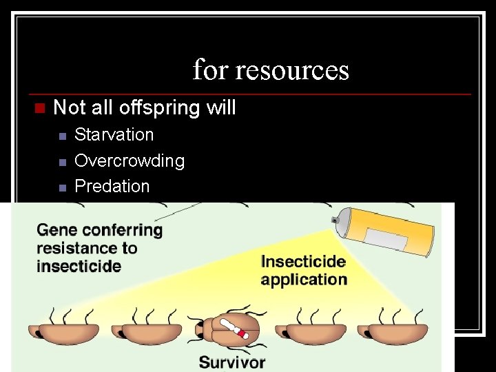 Competition for resources n Not all offspring will survive n n n Starvation Overcrowding