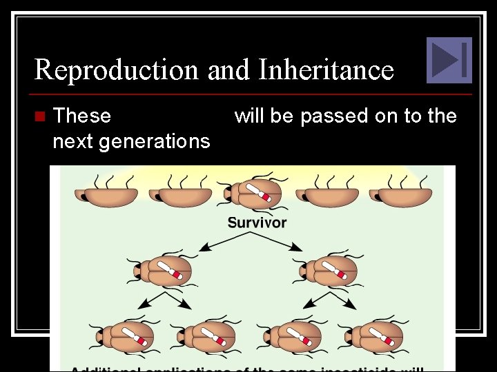 Reproduction and Inheritance n These advantages will be passed on to the next generations