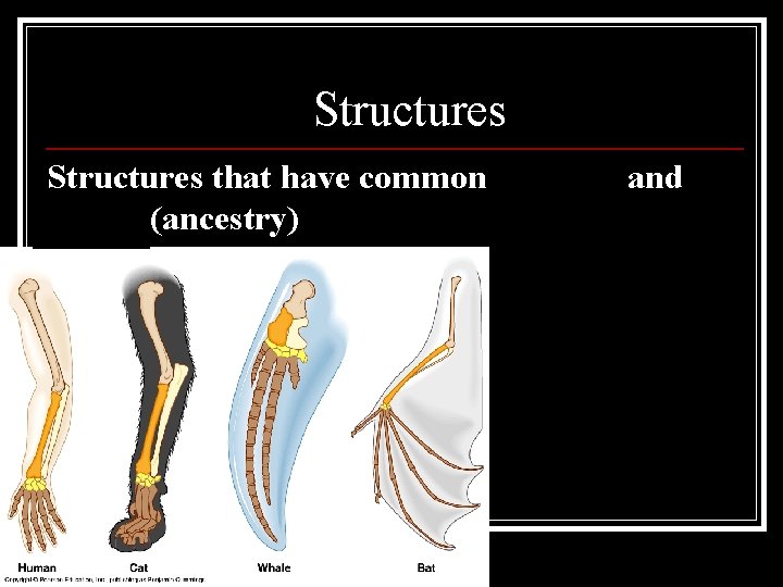 Homologous Structures that have common function and design (ancestry) 