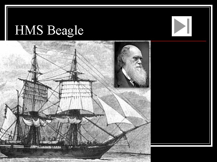 HMS Beagle 