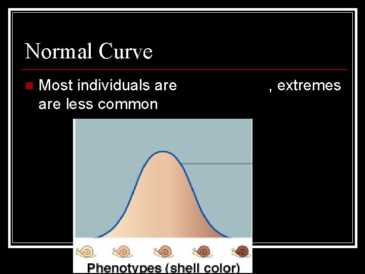 Normal Curve n Most individuals are intermediate, extremes are less common 