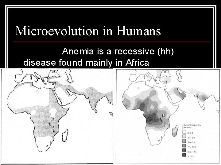 Microevolution in Humans Sickle Cell Anemia is a recessive (hh) disease found mainly in