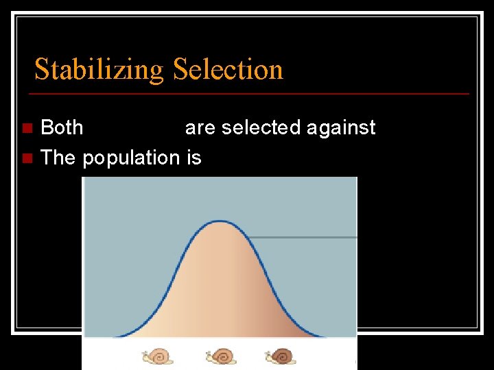 Stabilizing Selection Both Extremes are selected against n The population is stabilized n 