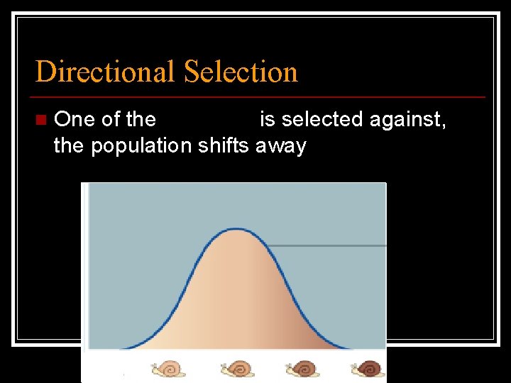 Directional Selection n One of the extremes is selected against, the population shifts away