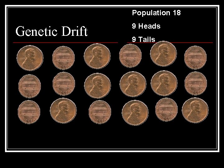 Population 18 Genetic Drift 9 Heads 9 Tails 