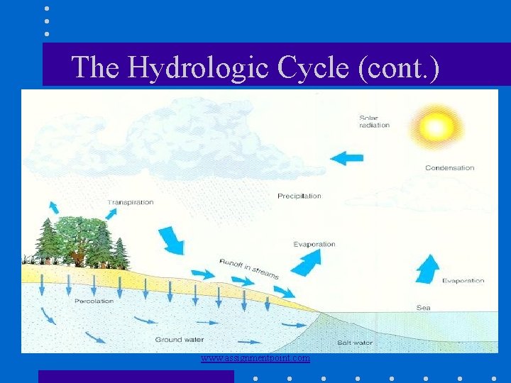 The Hydrologic Cycle (cont. ) www. assignmentpoint. com 