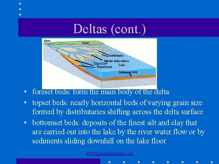Deltas (cont. ) River Land Distributaries Marshy delta surface Topset beds Lake Foreset beds