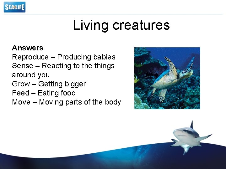 Living creatures Answers Reproduce – Producing babies Sense – Reacting to the things around